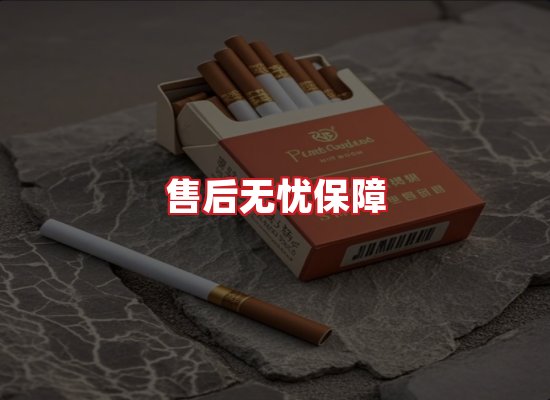 专业团队